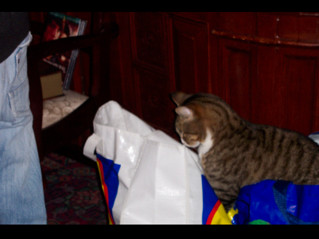 Meanwhile, back at the bags,
