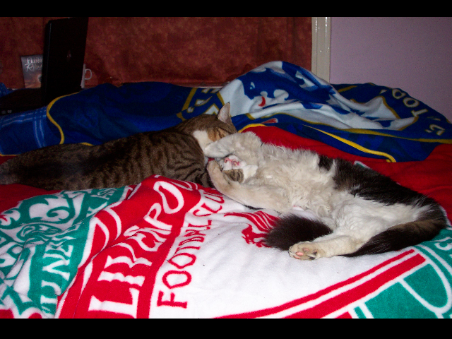 ...and having a bit of a play in between naps.